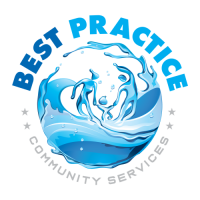 Best Practice logo.png