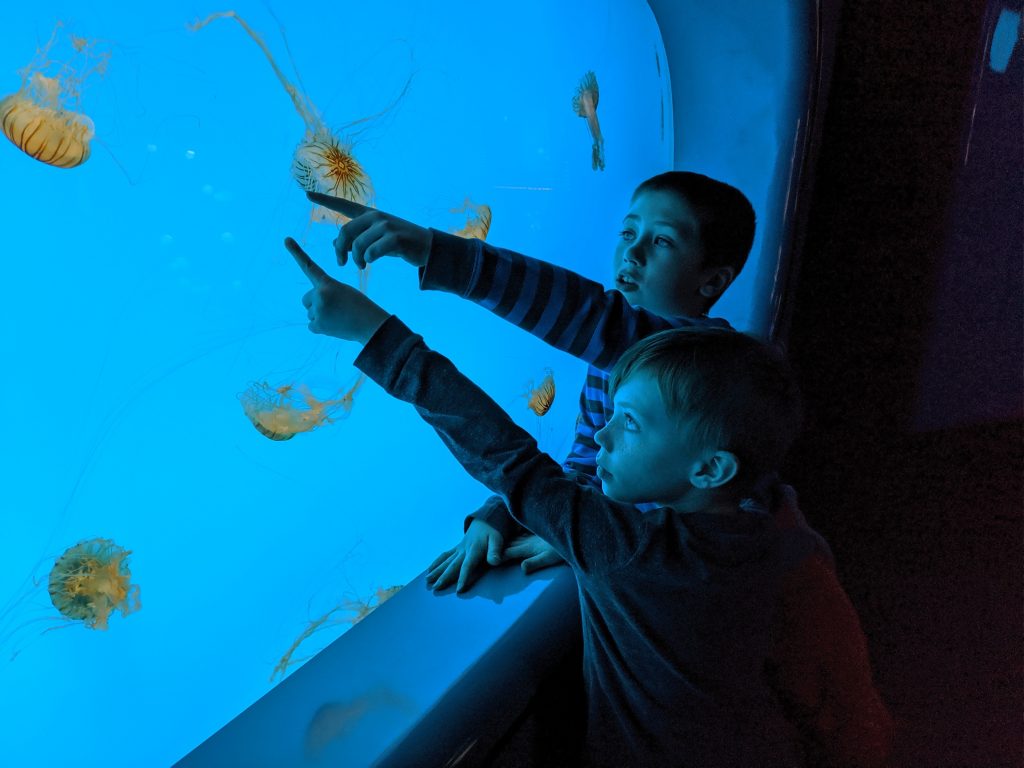 two young boys touching glass at an aquarium. jellyfish in their site.