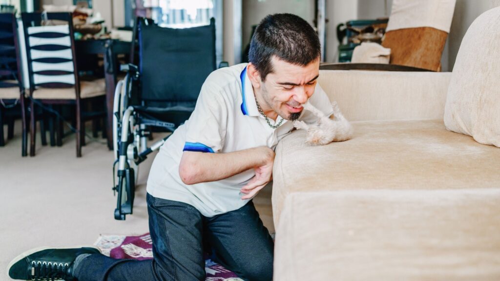 A man on kneeling on the floor while playing with a kitten on a couch