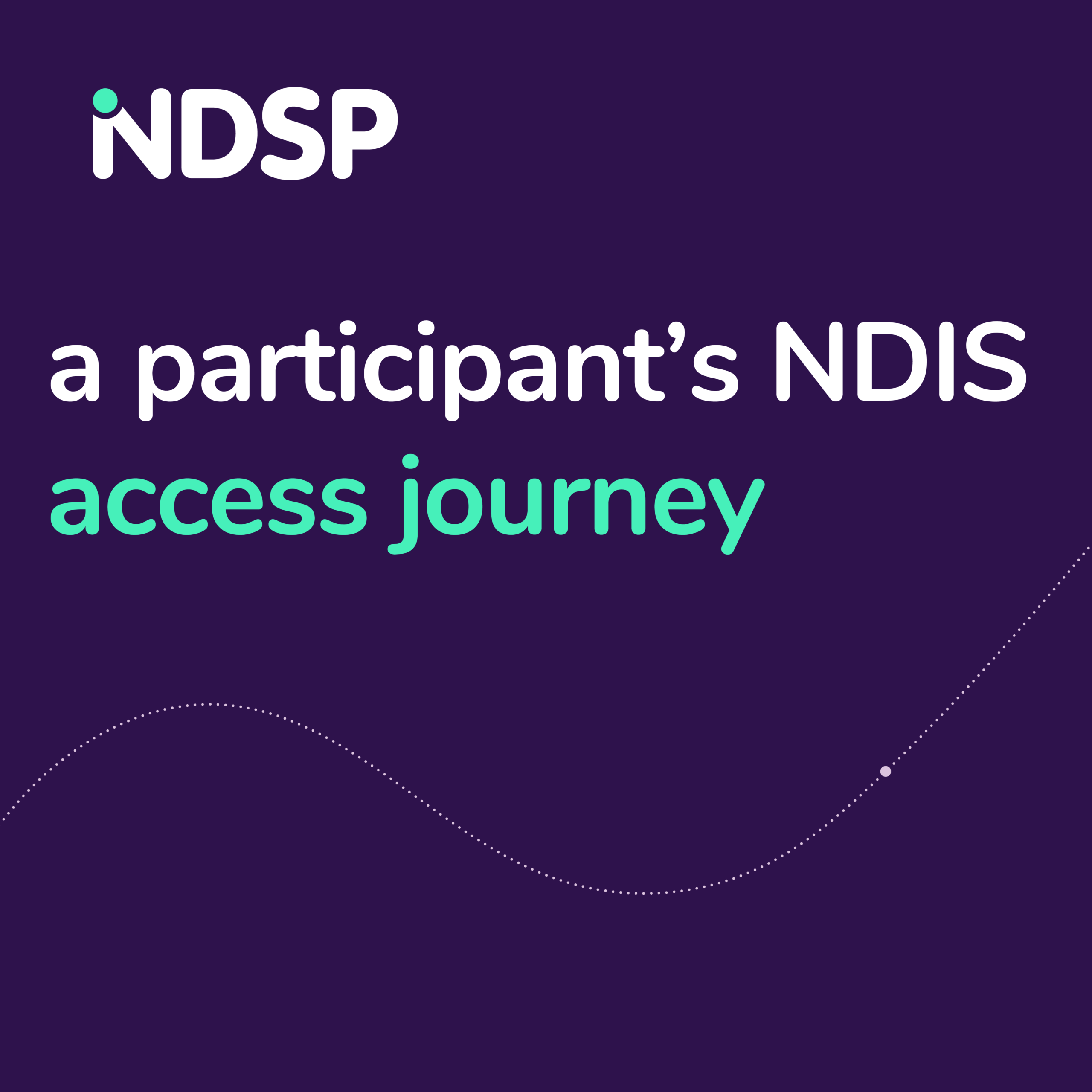 a participants NDIS access journey